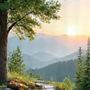 Holistic Wellness Coaching